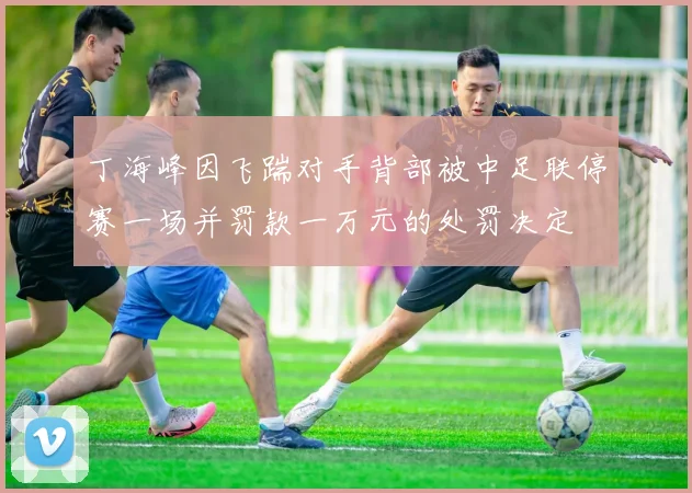 丁海峰因飞踹对手背部被中足联停赛一场并罚款一万元的处罚决定
