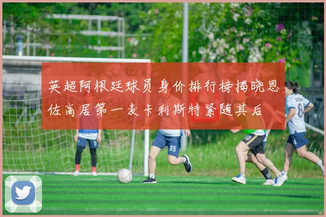 英超阿根廷球员身价排行榜揭晓恩佐高居第一麦卡利斯特紧随其后